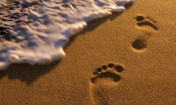 SEO mérce: 12 digitális mutató, amit érdemes nyomon követni