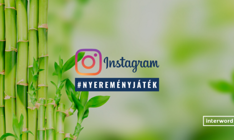 Instagram nyereményjáték szabályosan - mire figyelj oda?