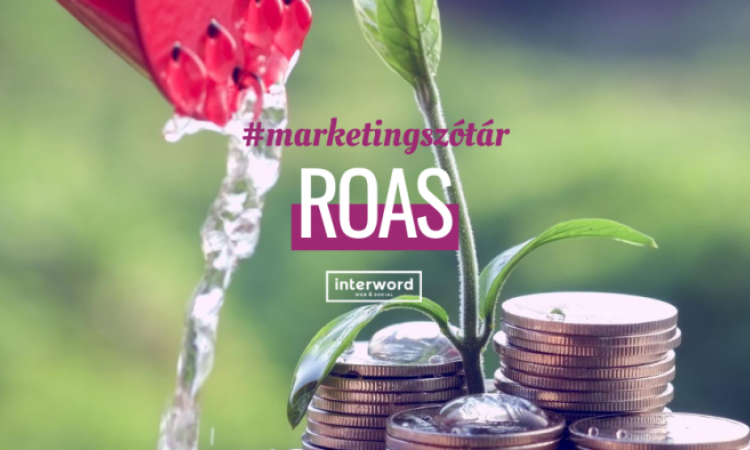 Marketingszótár - Mit jelent a ROAS?