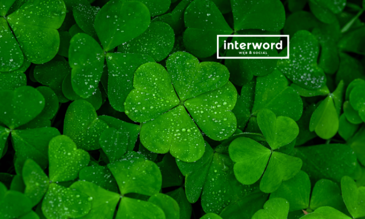 JÁTSSZ VELÜNK ÉS NYERJ INSTAGRAM AUDITOT