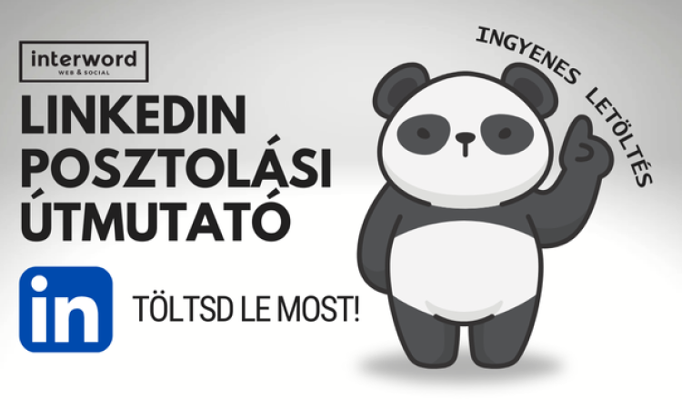 LinkedIn posztolási útmutató - Mit, mikor, hogyan?